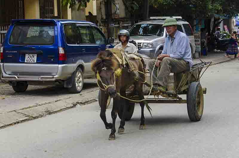 292 - Vietnam - Bac Ha - carro